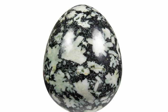 Polished Chinese Writing Rock Egg - BC Canada #334143